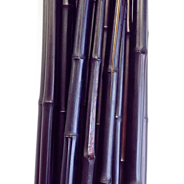 LC Bamboo Pole 7'H x 2D brown Set Of 12 By Gold Leaf Design Group | Botanicals | Modishstore - 2