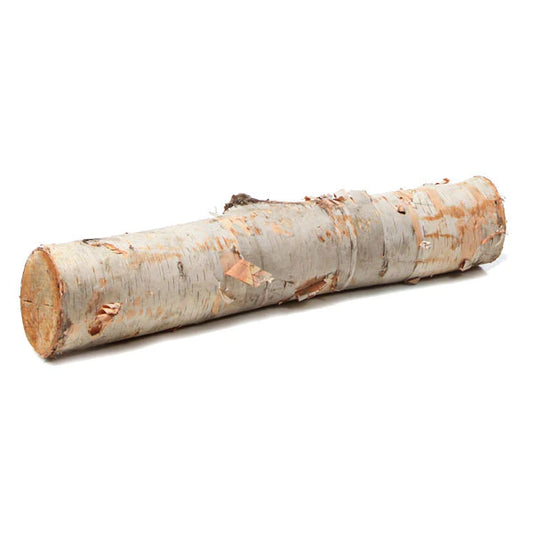 Birch Log 12"-15"Lx1"-2"D Set Of 24 By Gold Leaf Design Group | FIRE PITS | Modishstore