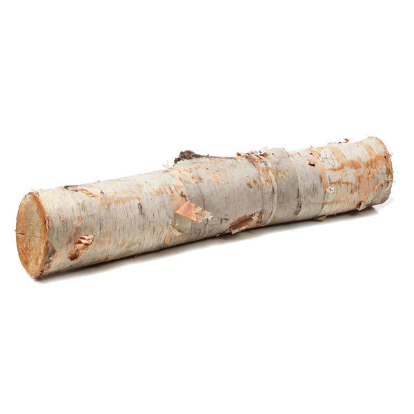 Birch Log 12"-15"Lx1"-2"D Set Of 24 By Gold Leaf Design Group | FIRE PITS | Modishstore