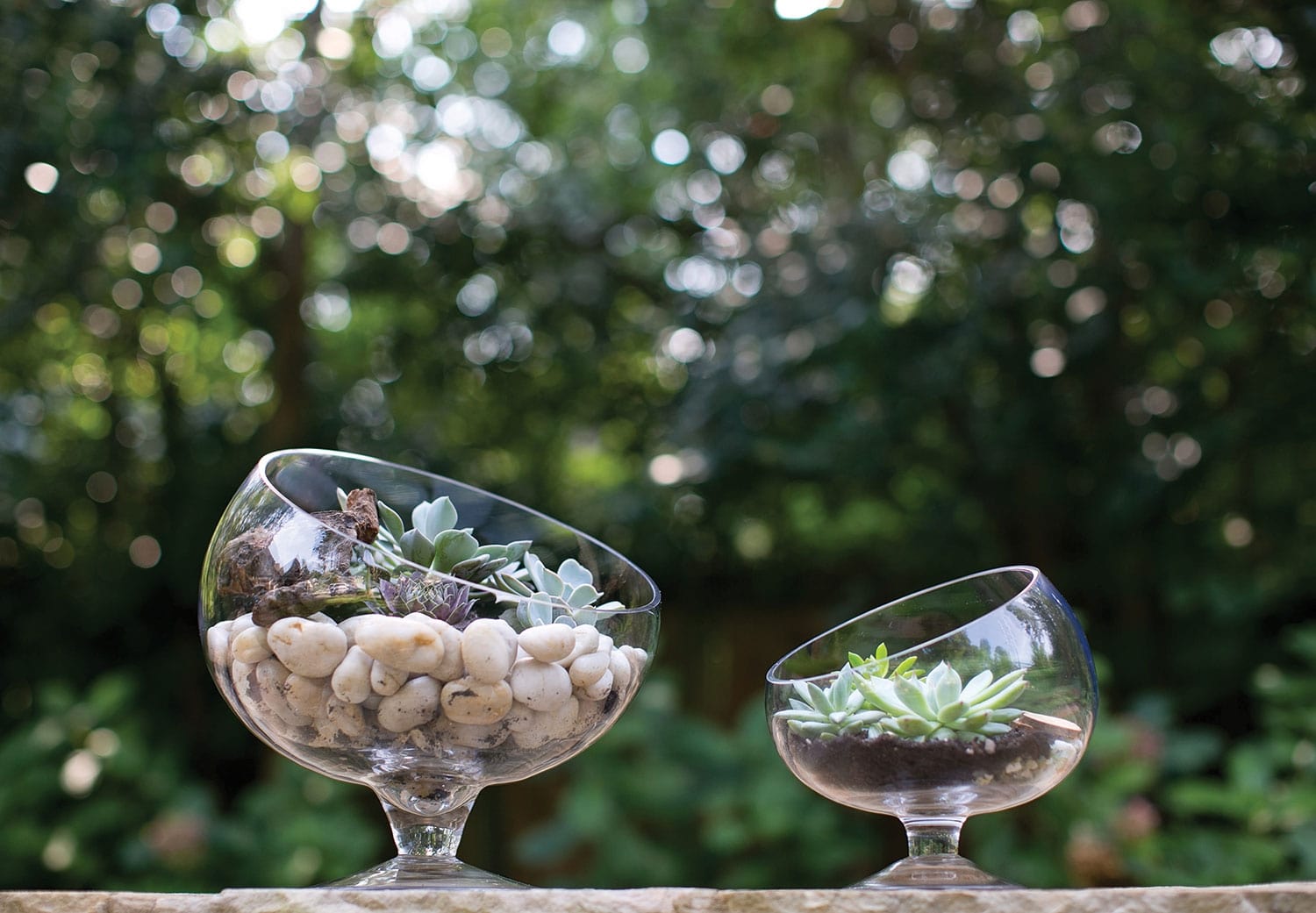 Bias Bowl Set of 6 By Accent Decor | Outdoor Planters, Troughs & Cachepots | Modishstore