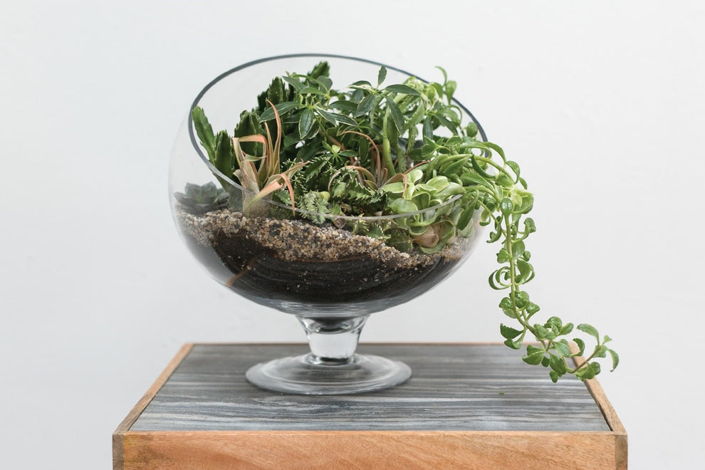 Bias Bowl Set Of 4 By Accent Decor | Outdoor Planters, Troughs & Cachepots | Modishstore - 5
