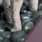 Rocks 1" black polished S/2 By Gold Leaf Design Group | Minerals and Stones | Modishstore-2