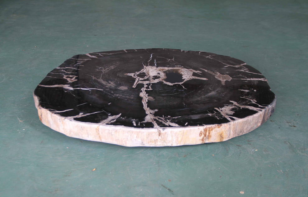 Petrified Wood Slab Coffee Table - 32" x 28m"x  2"H - PFT0437/26-7