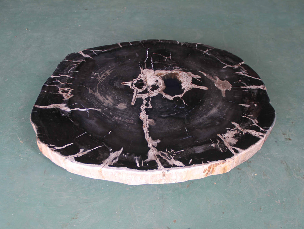 Petrified Wood Slab Coffee Table - 32" x 28m"x  2"H - PFT0437/23-4