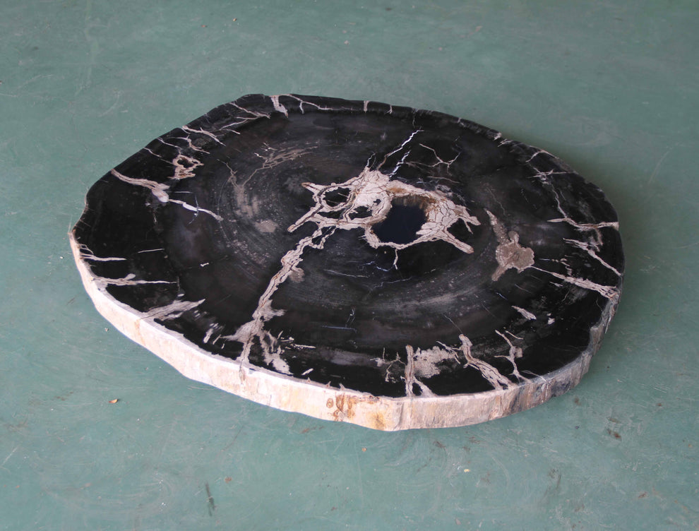 Petrified Wood Slab Coffee Table - 32" x 28m"x  2"H - PFT0437/25-6