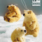 Roost Save the Polar Bear Ornaments with NWF Tag - Set Of 3-6