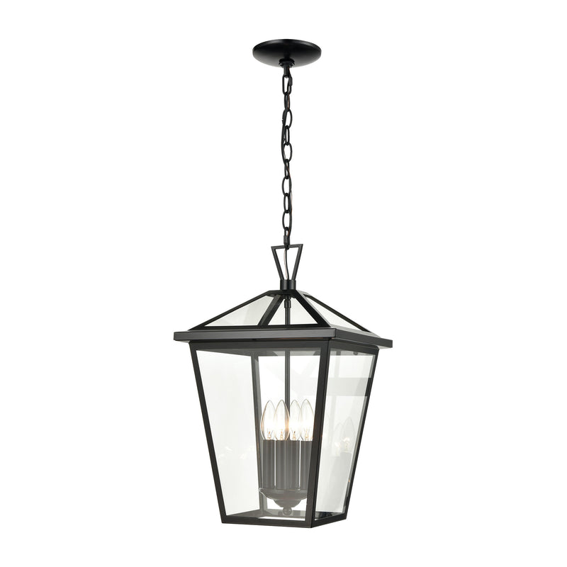 Main Street 4-Light Outdoor Pendant in Black with Clear Glass Enclosure by ELK Lighting | Modishstore | Pendant Lamps