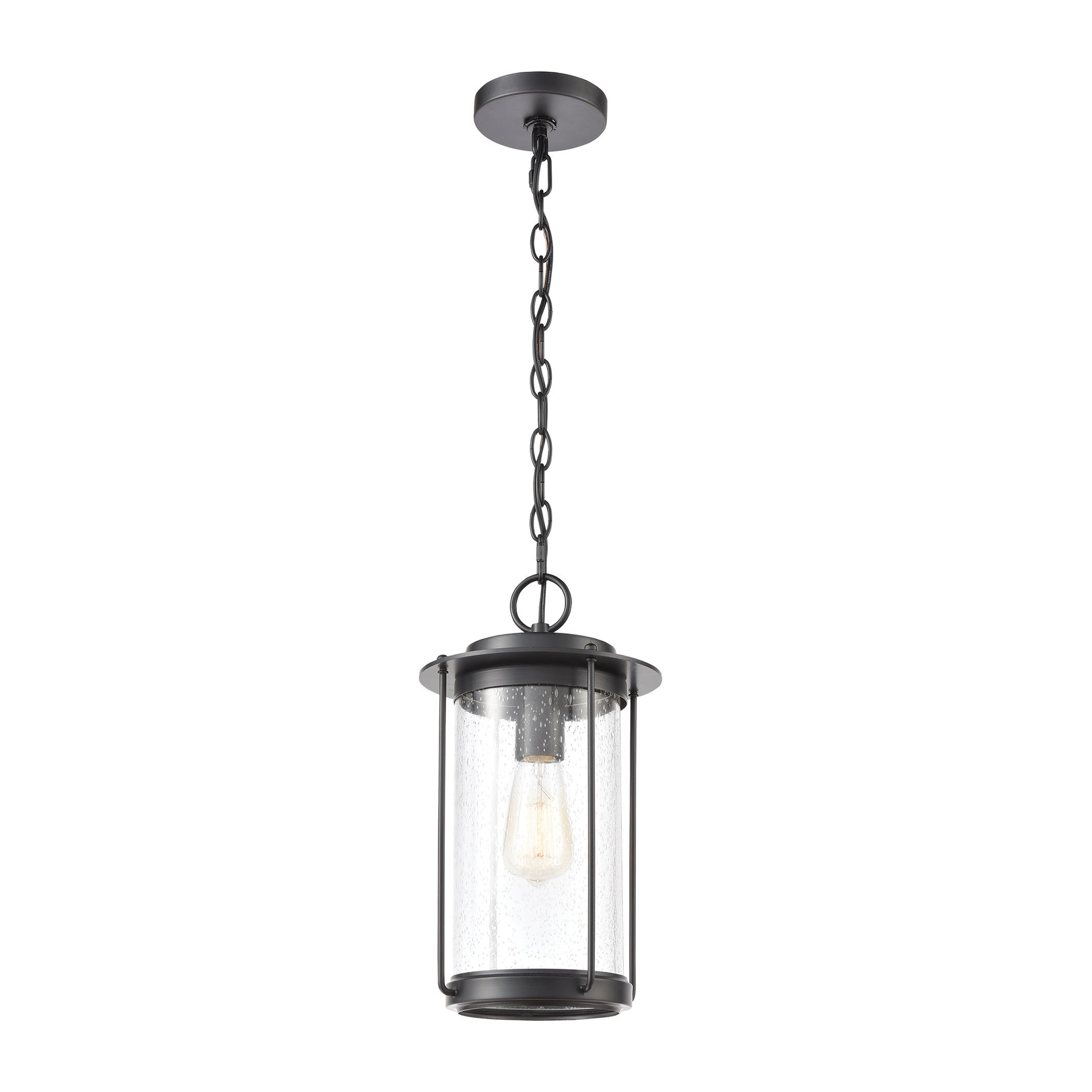 Devonshire 1-Light Hanging in Matte Black with Seedy Glass ELK Lighting | Lightbulbs | Modishstore