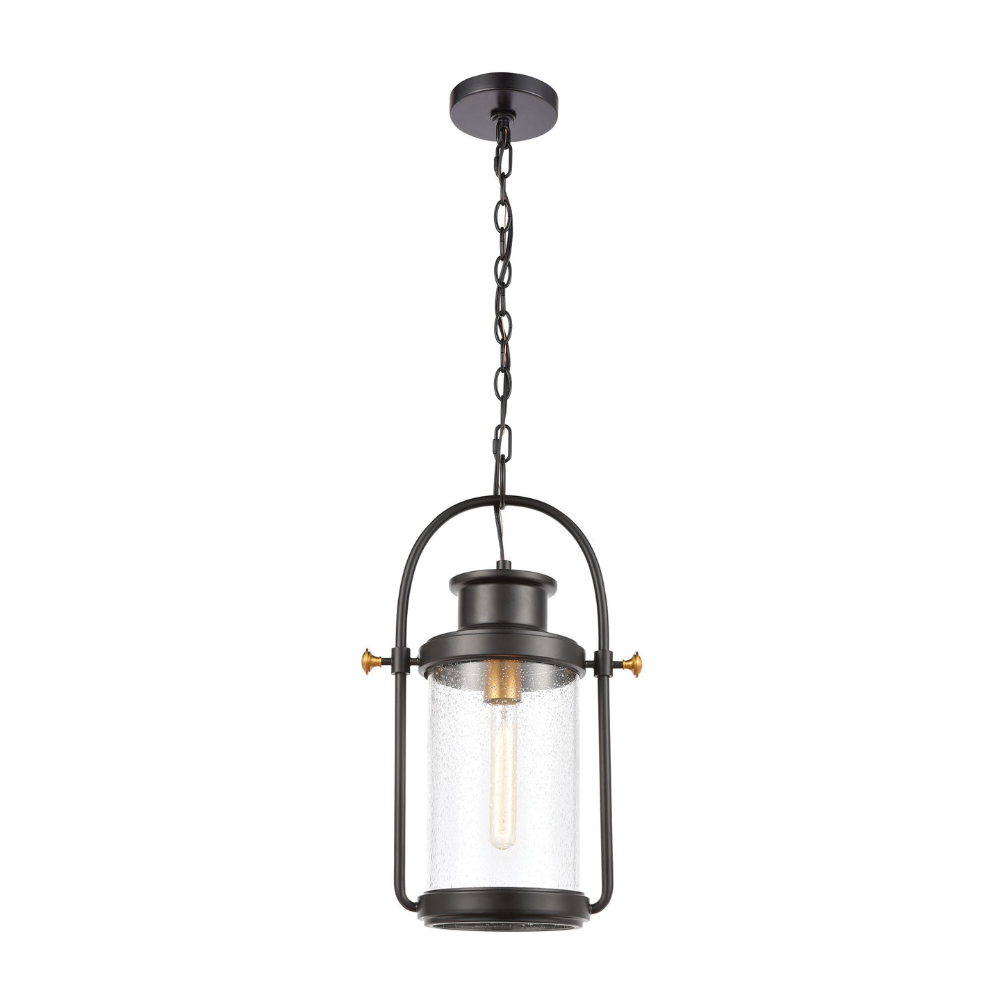 Wexford 1-Light Hanging in Matte Black with Seedy Glass ELK Lighting | Lightbulbs | Modishstore