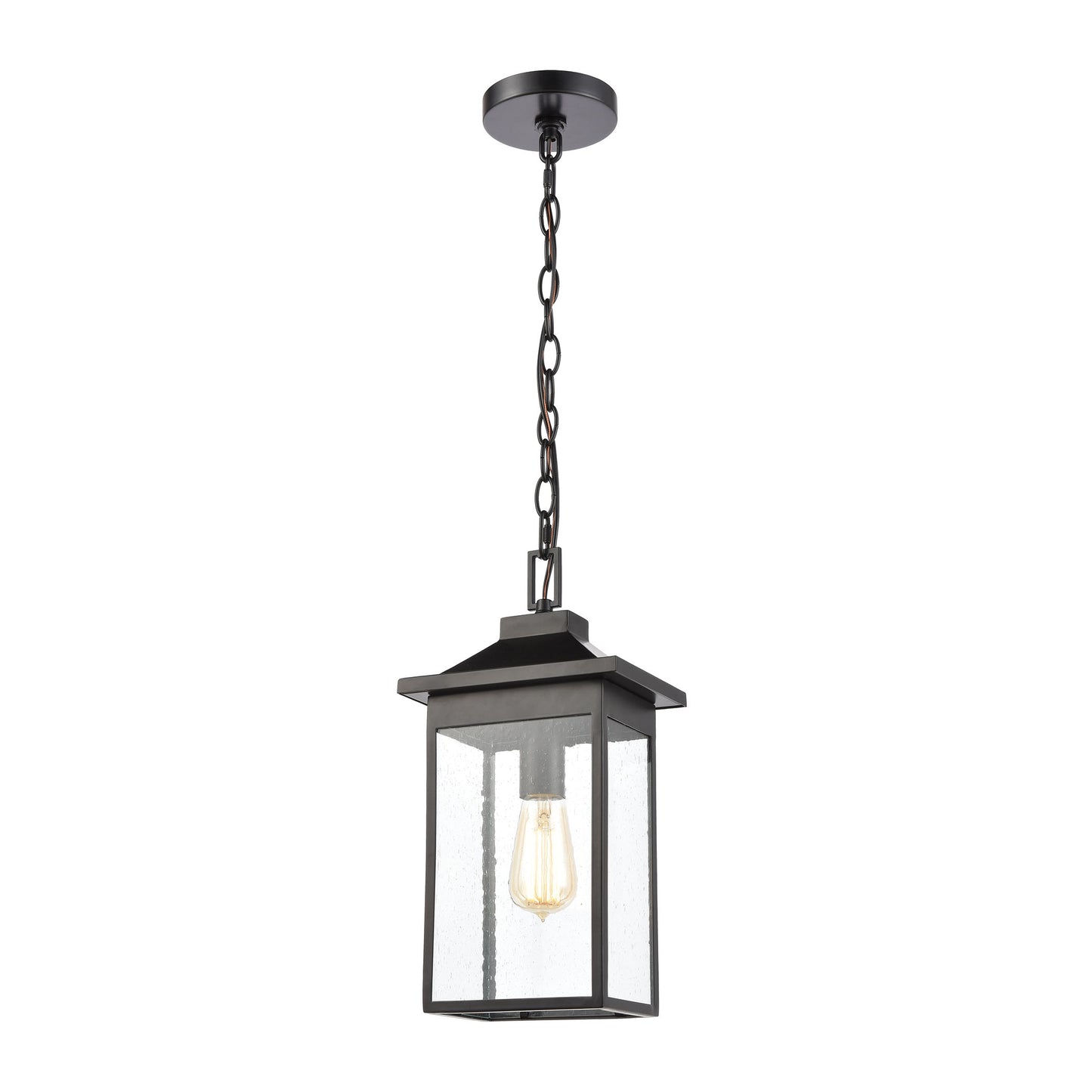 Lamplighter 1-Light Hanging in Matte Black with Seedy Glass ELK Lighting | Lightbulbs | Modishstore