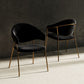 Set of Two Black Gold Velvet Modern Dining Chairs By Homeroots | Dining Chairs | Modishstore
