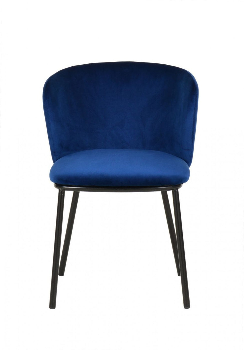 Set of Two Royal Blue Velvet and Black Modern Dining Chairss By Homeroots | Dining Chairs | Modishstore - 3