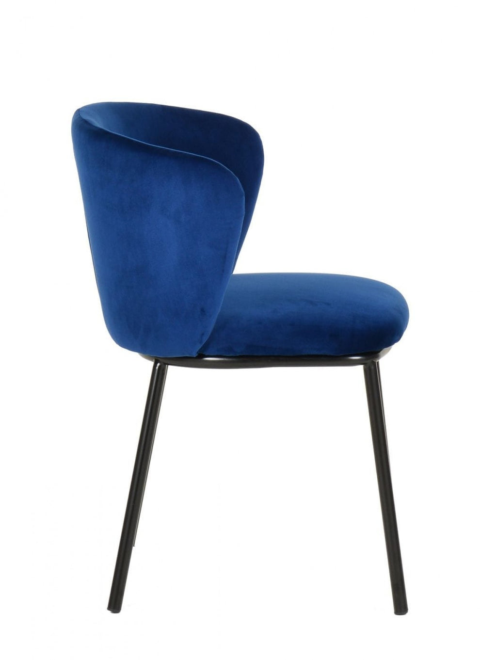 Set of Two Royal Blue Velvet and Black Modern Dining Chairss By Homeroots | Dining Chairs | Modishstore - 5