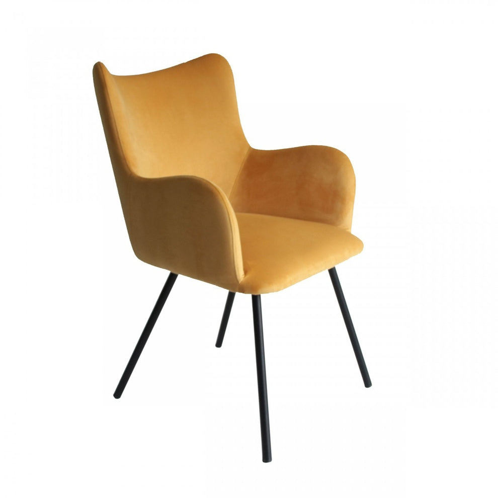 Yellow Curvy Velvet and Black Modern Dining Chair By Homeroots | Dining Chairs | Modishstore - 2
