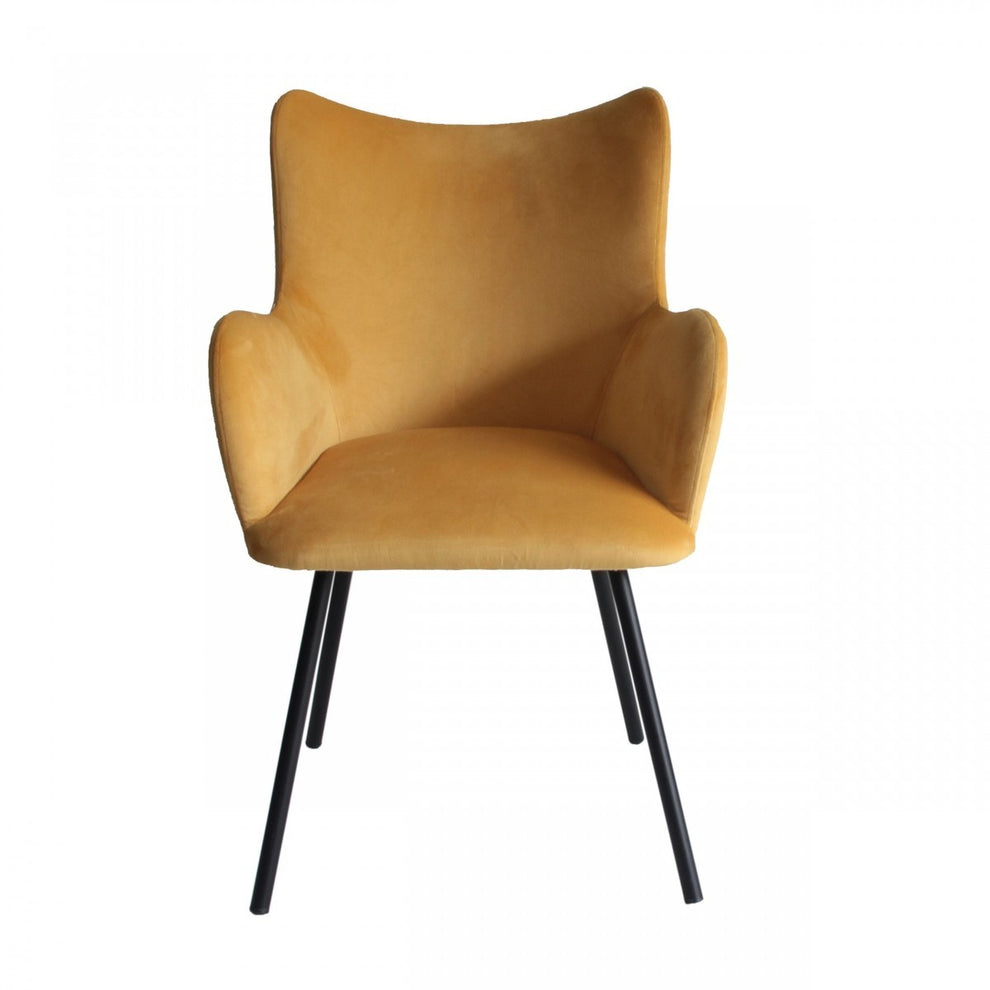 Yellow Curvy Velvet and Black Modern Dining Chair By Homeroots | Dining Chairs | Modishstore - 3