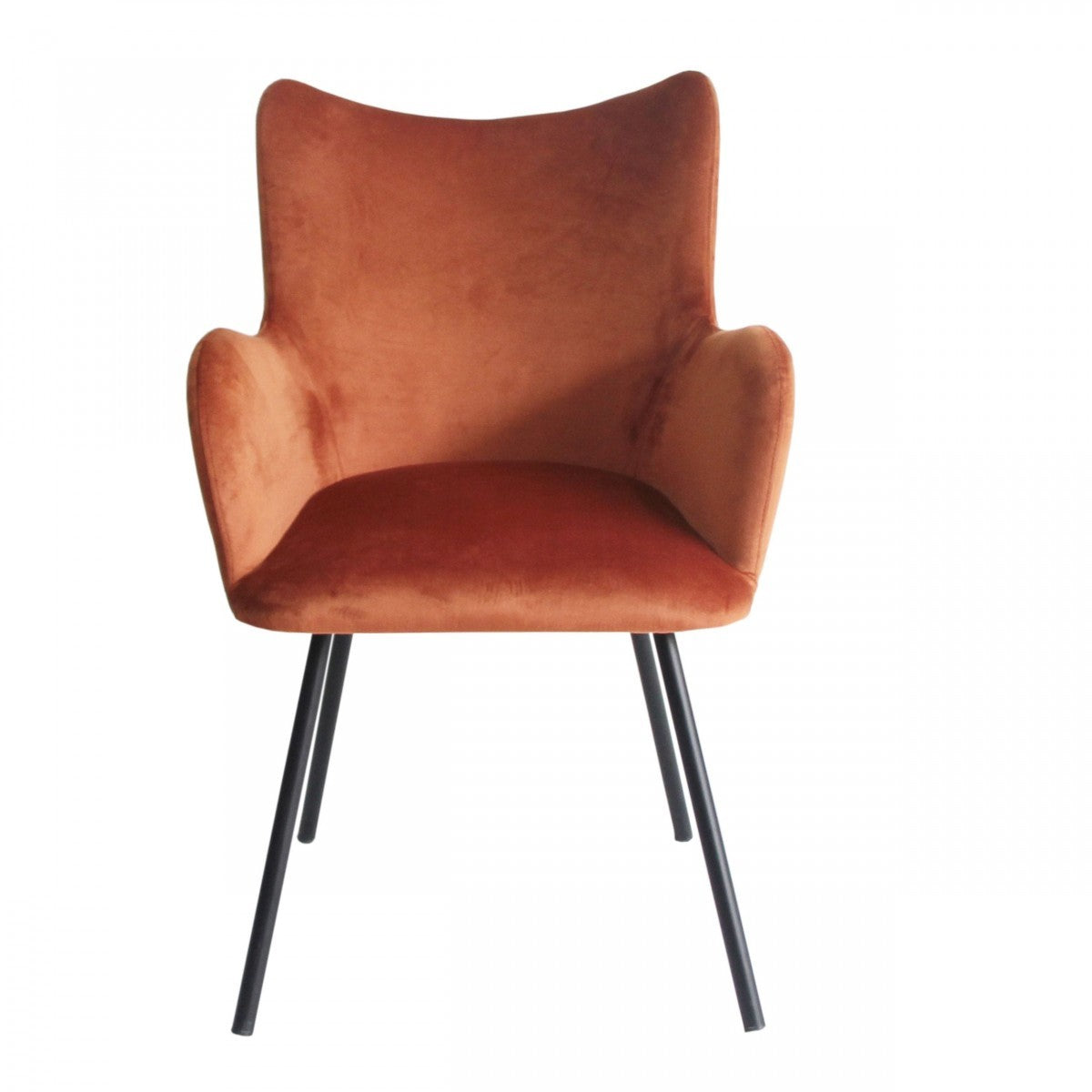 Rust Orange Curvy Velvet and Black Modern Dining Chair By Homeroots | Dining Chairs | Modishstore - 3