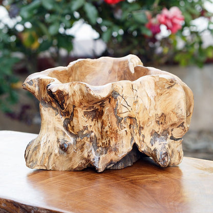 Garden Age Supply Habini Erosion Wood Bowls - Set Of 2 | Decorative Bowls | Modishstore-2