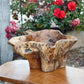 Garden Age Supply Habini Erosion Wood Bowls - Set Of 2 | Decorative Bowls | Modishstore-3