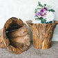 Garden Age Supply Harini Driftwood Pot Set of 2 | Planters, Troughs & Cachepots | Modishstore