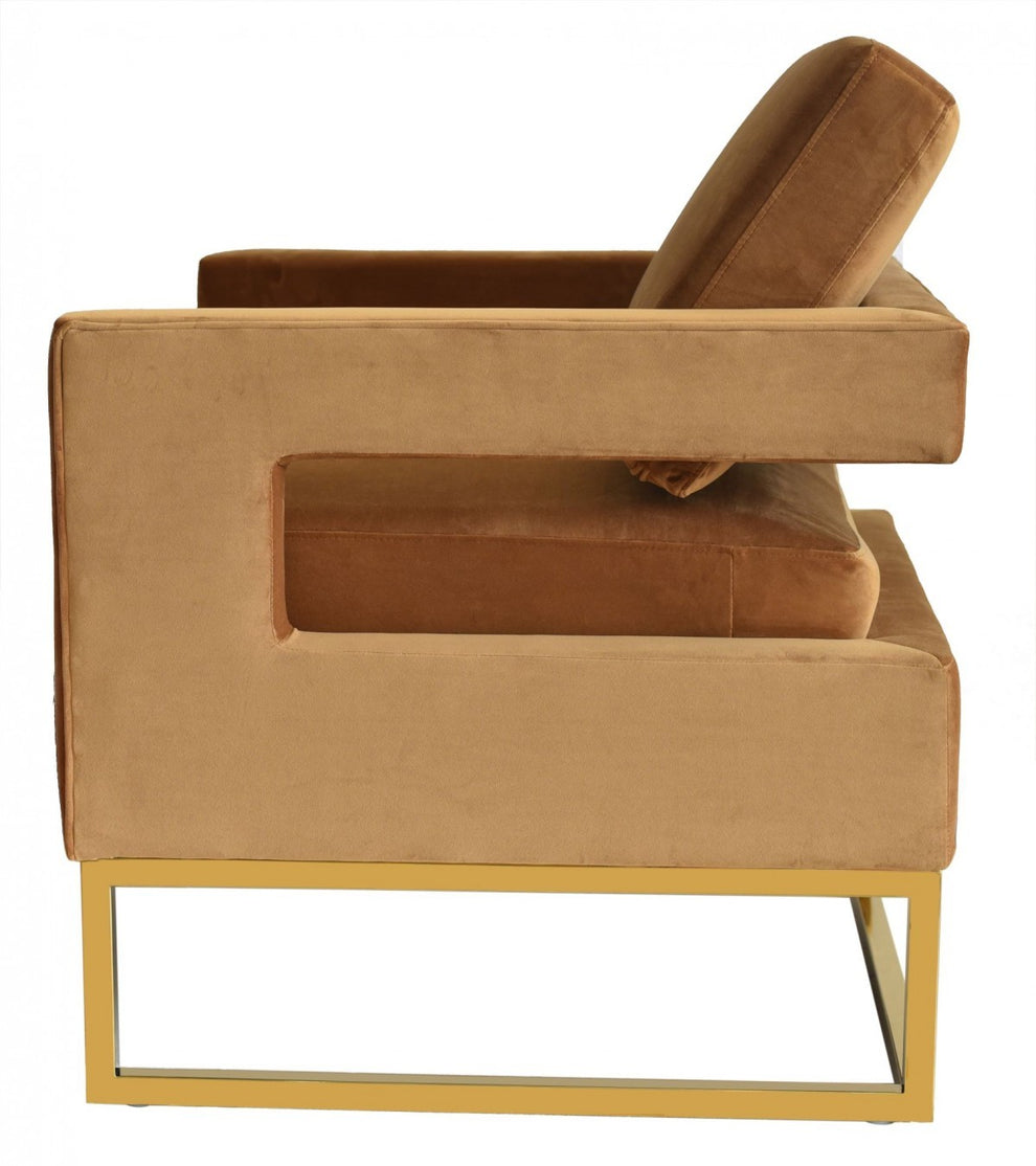 Stylish Pink Velvet And Gold Steel Chair By Homeroots | Accent Chairs | Modishstore - 10