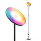 67" Color Changing LED Smart Novelty Floor Lamp By Homeroots | Floor Lamps | Modishstore - 3