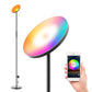 67" Color Changing LED Smart Novelty Floor Lamp By Homeroots | Floor Lamps | Modishstore - 4