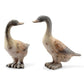Darling Duck Pair Garden Sculp By SPI Home | Garden Sculptures & Statues | Modishstore-3