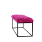39" Fuchsia And Black Upholstered Velvet Bench By Homeroots | Benches | Modishstore - 3