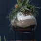 Zadie Stand By Accent Decor | Planters, Troughs & Cachepots | Modishstore - 1