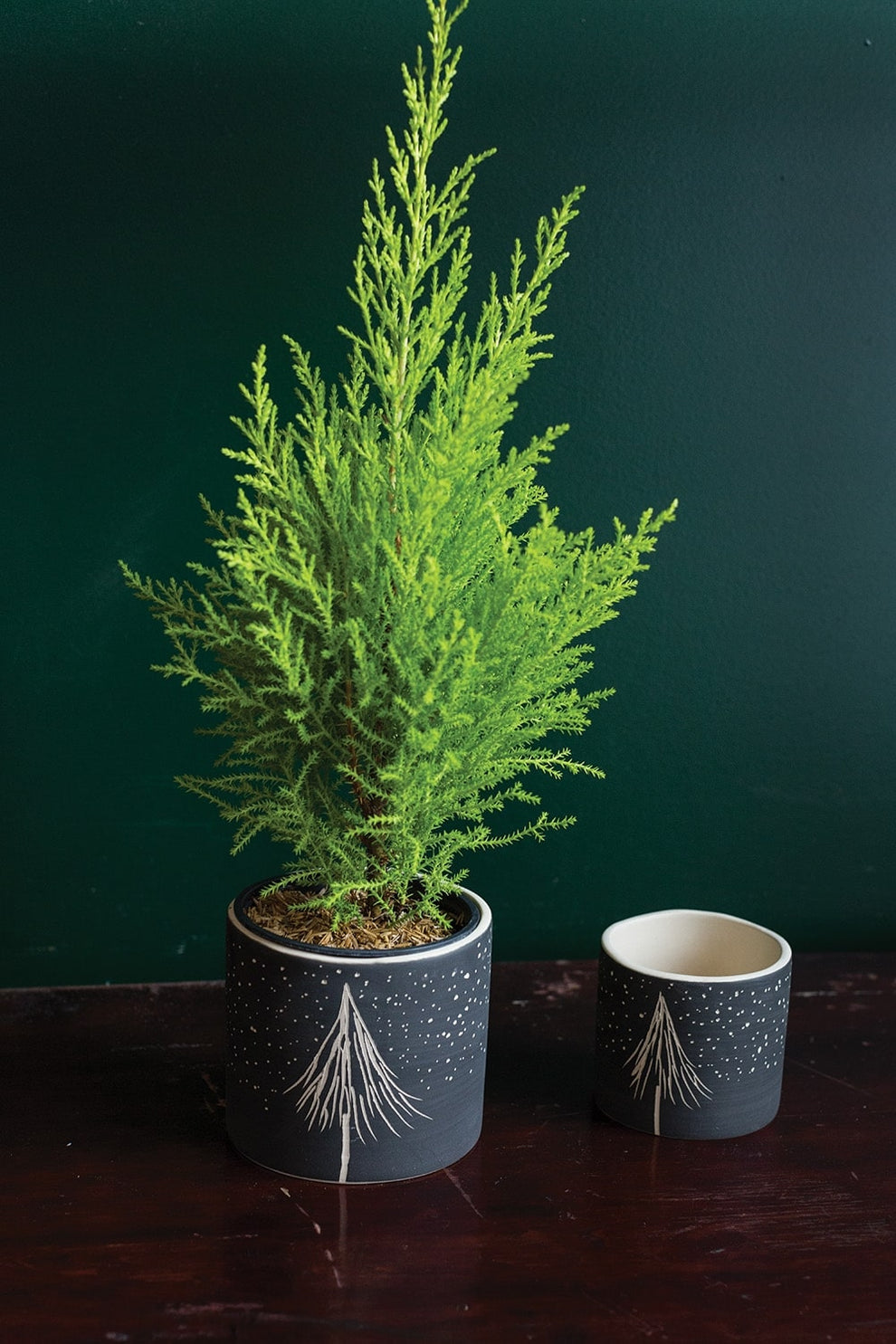 Dark Night Pot Set of 6 By Accent Decor | Outdoor Planters, Troughs & Cachepots | Modishstore - 3