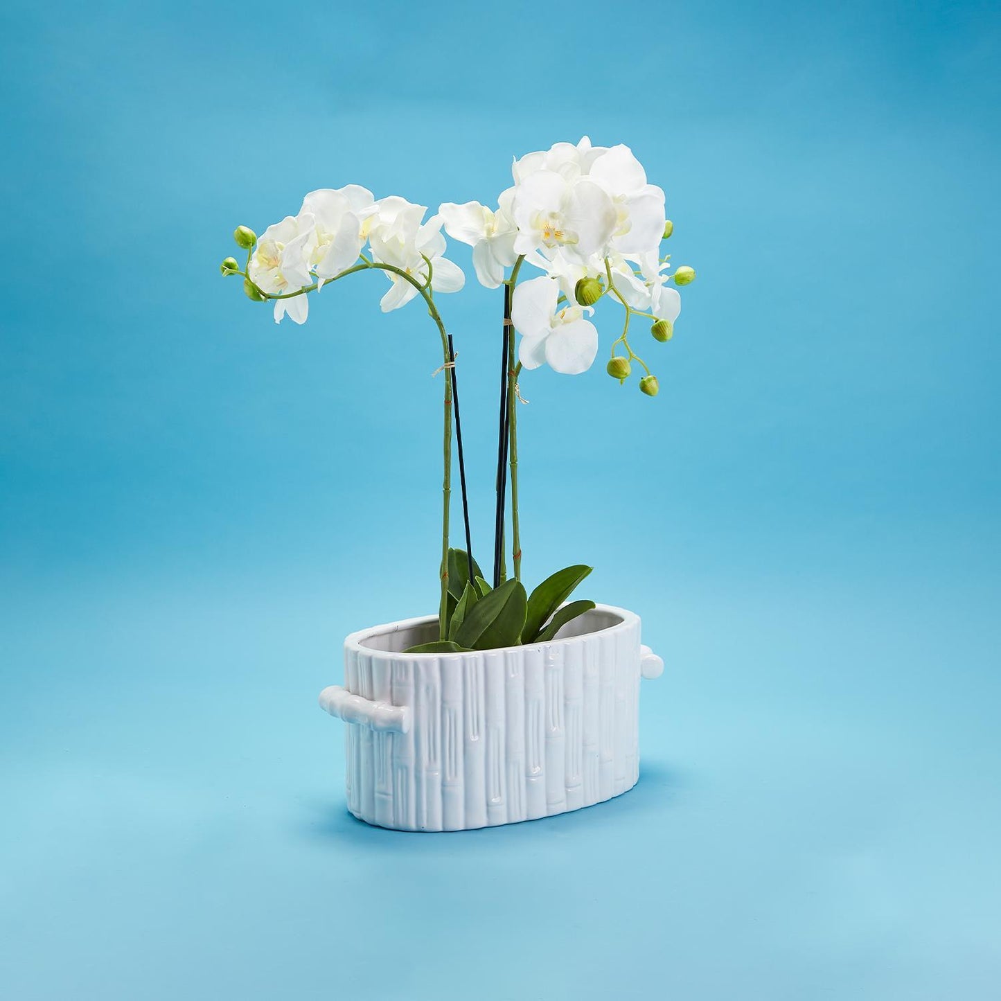 Faux Bamboo Oval Centerpiece / Cachepot with Handles By Two's Company | Planters, Troughs & Cachepots | Modishstore - 2