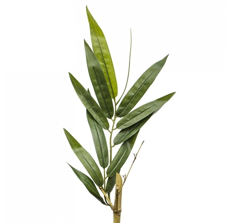 Bamboo Tree, Unpotted in Fiberglass Pia Planter by Gold Leaf Design Group | Planters, Troughs & Cachepots | Modishstore - 4