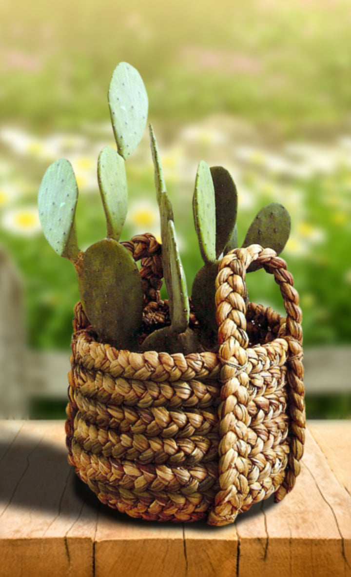 Roost Plantana Baskets - Set Of 2-4