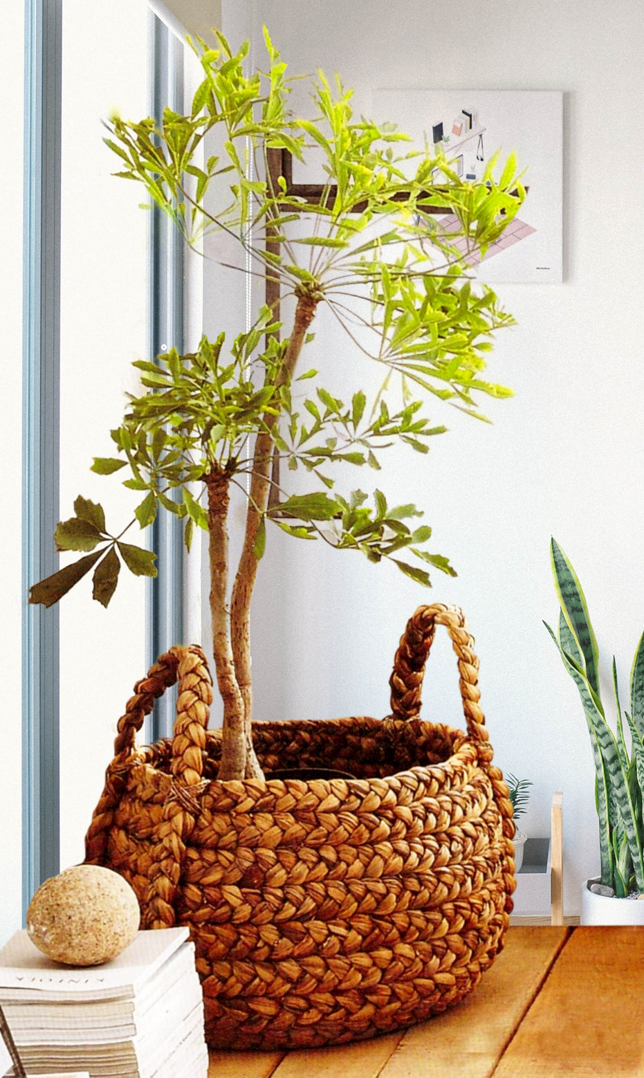 Roost Plantana Baskets - Set Of 2-3