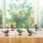 Boardwalk Bird Buddies (set of 5) By SPI Home | Sculptures | Modishstore