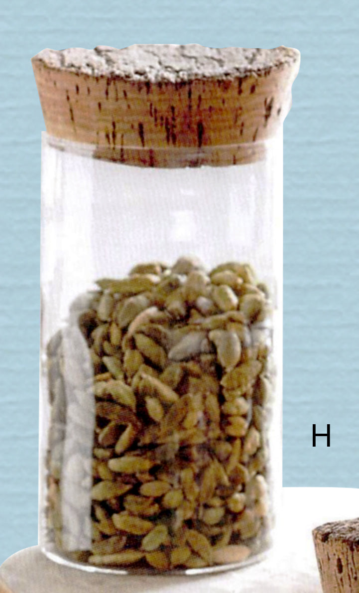 Roost Corked Canisters-8
