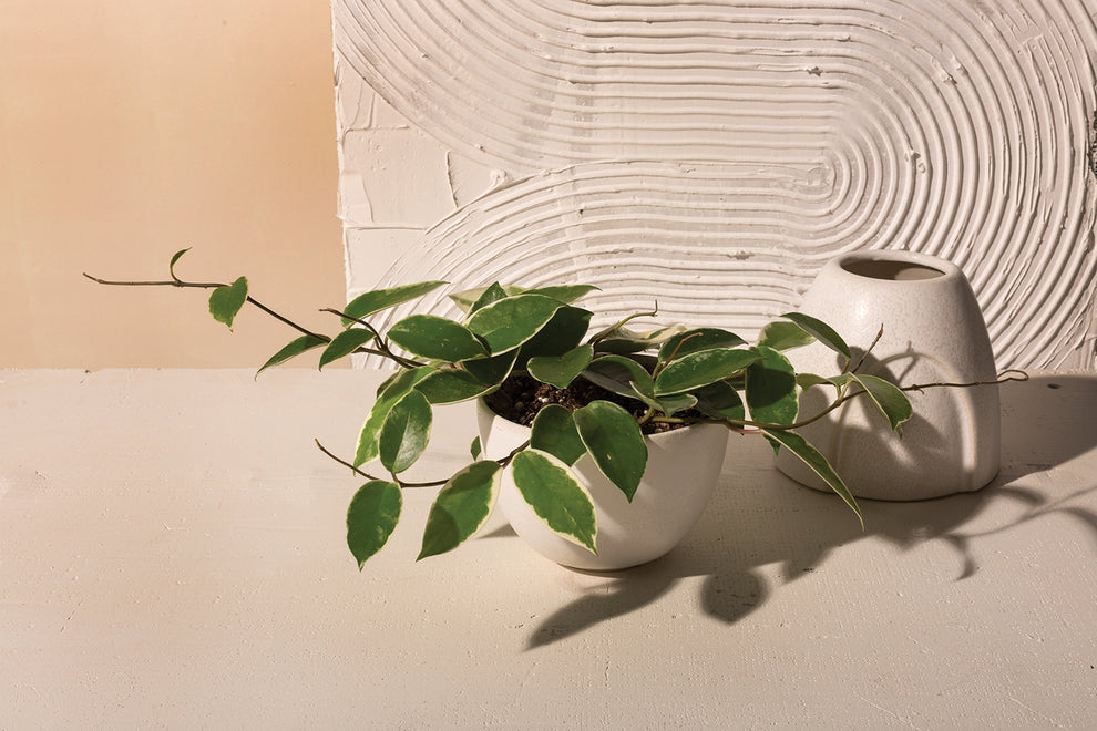 Echo Planter By Accent Decor | Planters, Troughs & Cachepots | Modishstore - 1