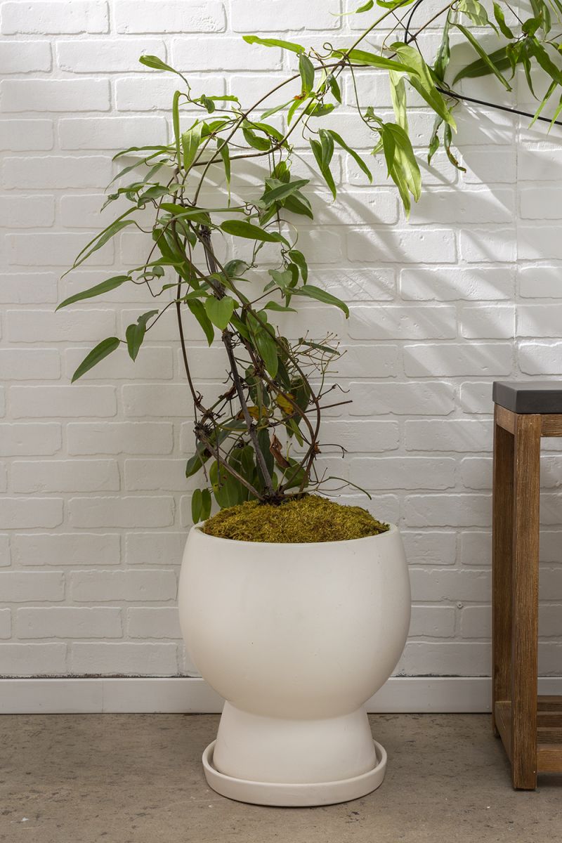 Bosky Pot By Accent Decor | Planters, Troughs & Cachepots | Modishstore - 7