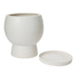 Bosky Pot By Accent Decor