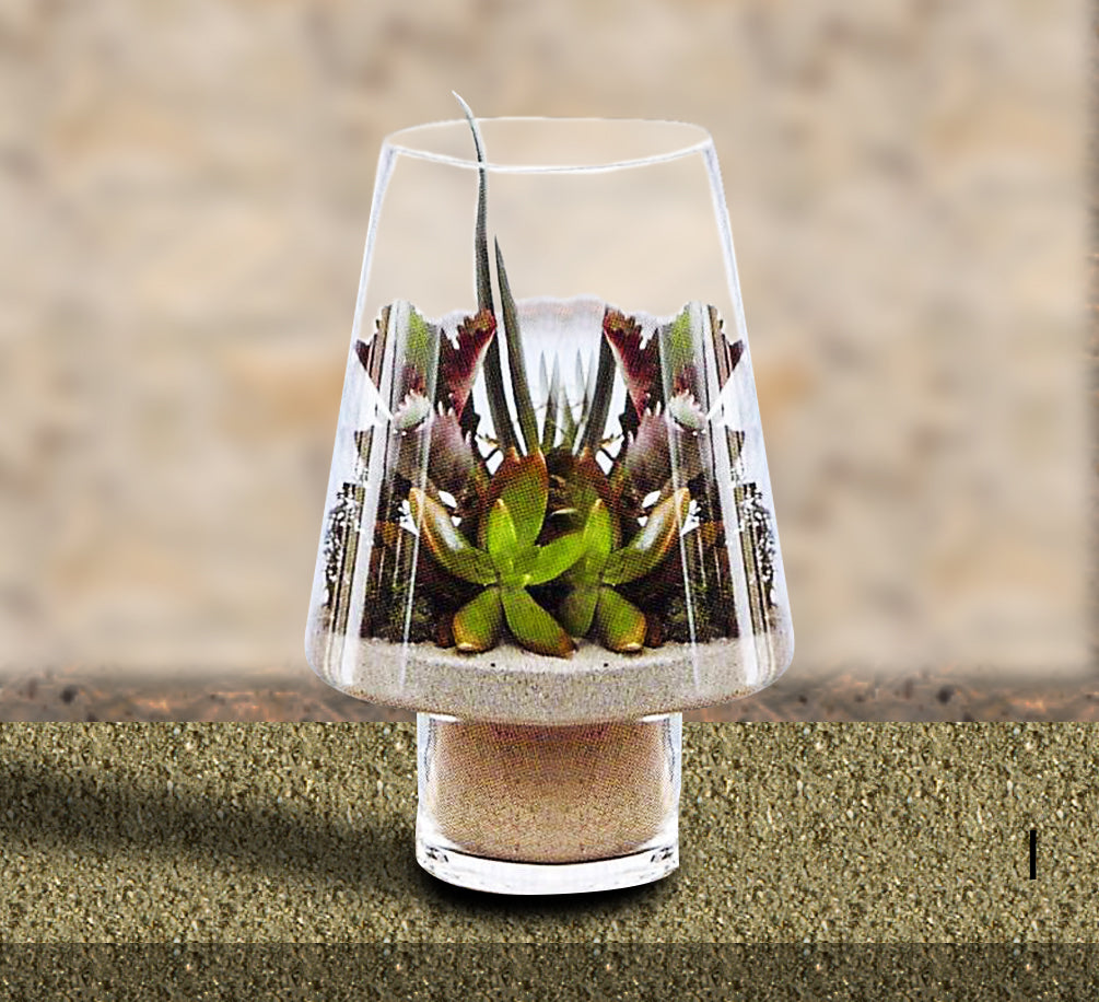 Roost Modern Glass Angle Footed Terrariums-6