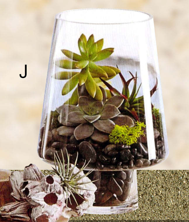 Roost Modern Glass Angle Footed Terrariums-7