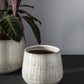 Anders White Terracotta Pot By Accent Decor- 2 sizes | Planters, Troughs & Cachepots | Modishstore - 4