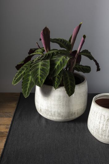 Anders White Terracotta Pot By Accent Decor- 2 sizes | Planters, Troughs & Cachepots | Modishstore - 7