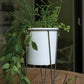 Cassa Plant Stand Set Of 2 By Accent Decor | Planters, Troughs & Cachepots | Modishstore