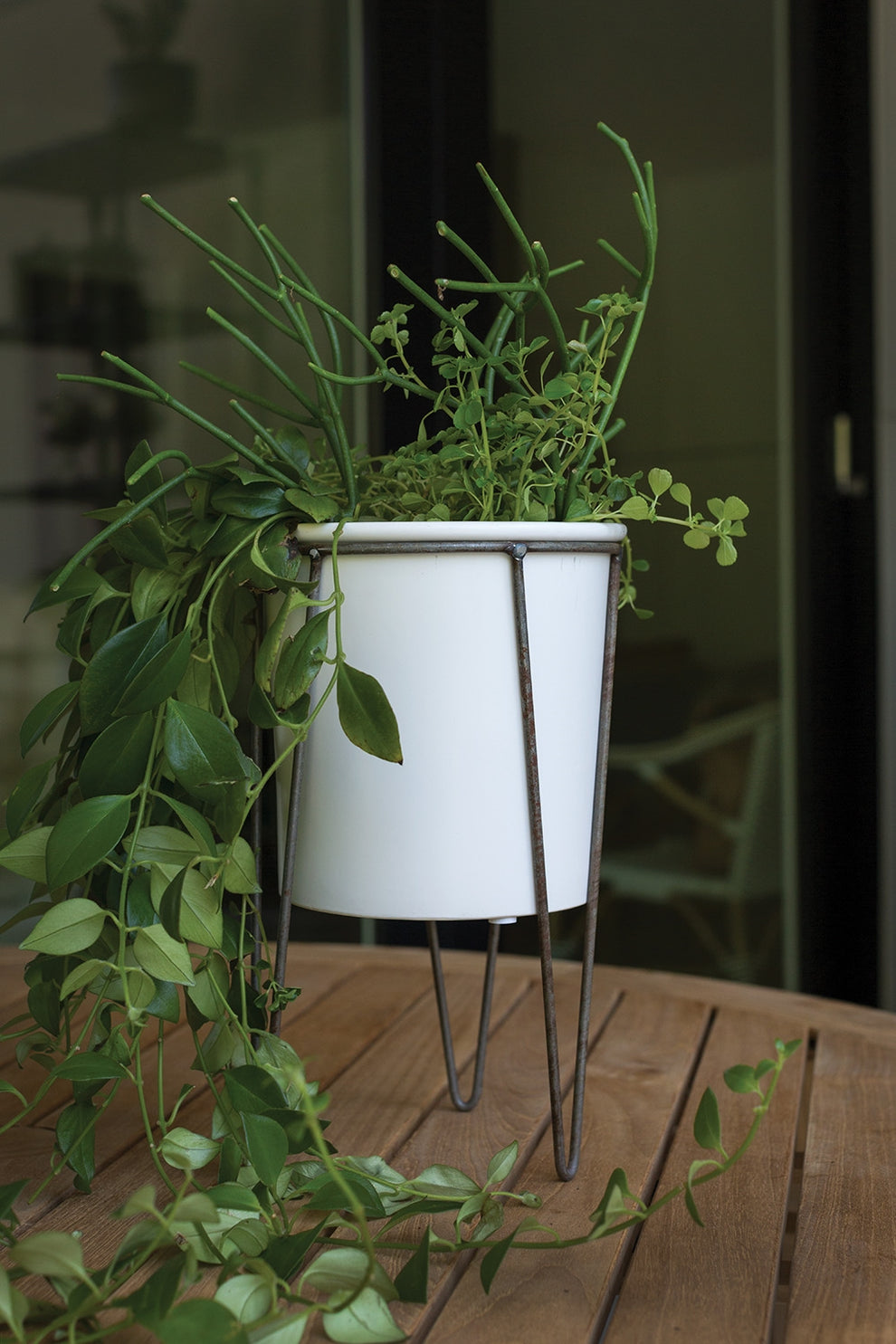 Cassa Plant Stand Set Of 4 By Accent Decor | Planters, Troughs & Cachepots | Modishstore - 1