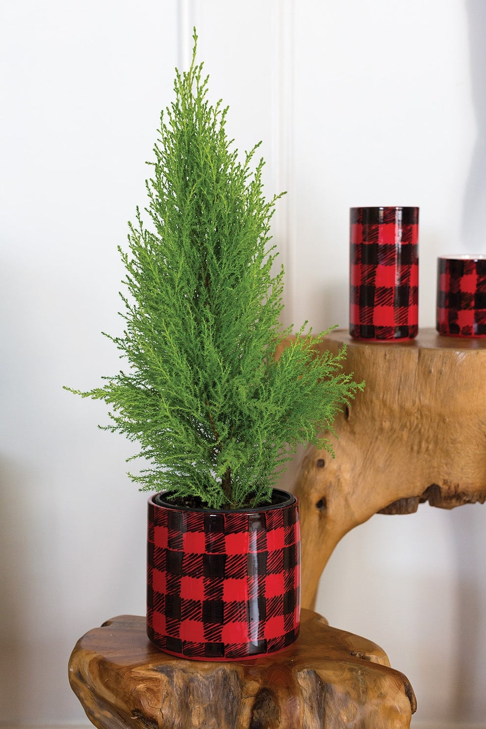 Flannel Pot Set of 8 By Accent Decor | Outdoor Planters, Troughs & Cachepots | Modishstore - 3