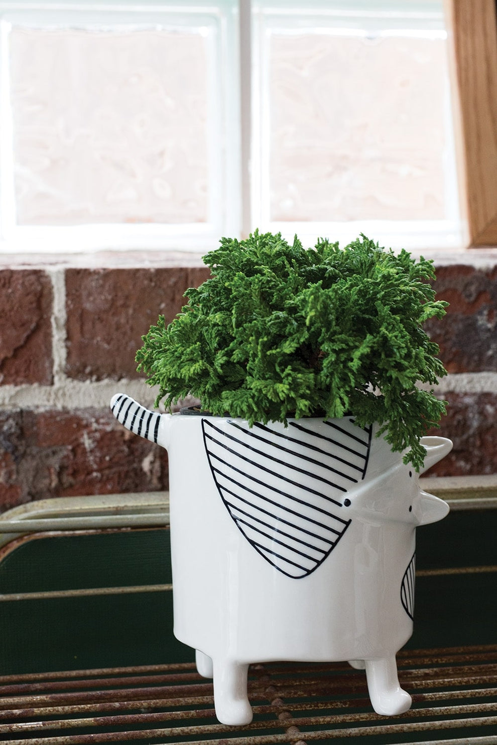 Pot Chappy Collection Set Of 4 By Accent Decor | Outdoor Planters, Troughs & Cachepots | Modishstore - 3