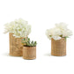Weaved Rattan Wrapped Cachepot Incl 3 Sizes Set Of 3 By Two's Company | Candle Holders | Modishstore - 2