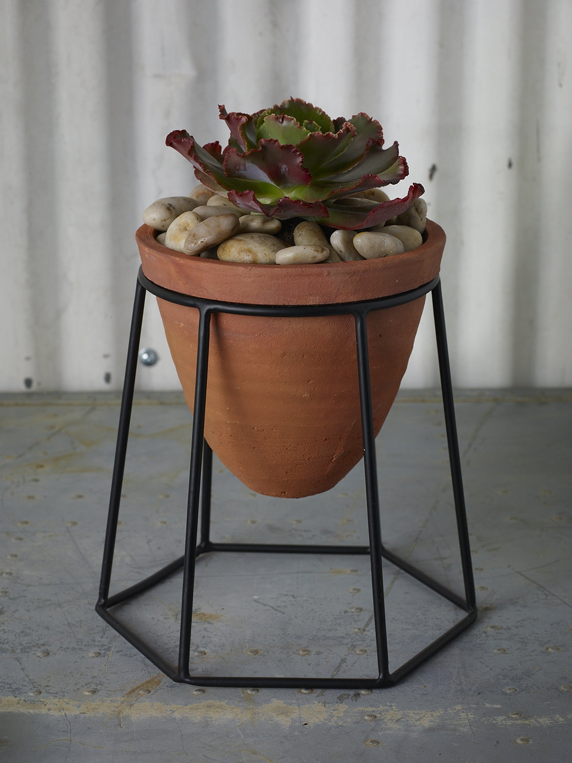 Cheyenne Plant Stand S/2 By Accent Decor | Planters, Troughs & Cachepots | Modishstore - 2