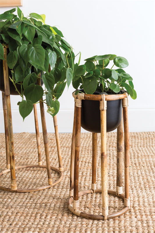 Boca Metal Pot with Rattan Plant Stands, Set Of 2 | Planters, Troughs & Cachepots | Modishstore